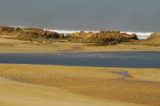 Wyjazd dla architektów 2015: 900 km wzdłuż wybrzeża Maroka